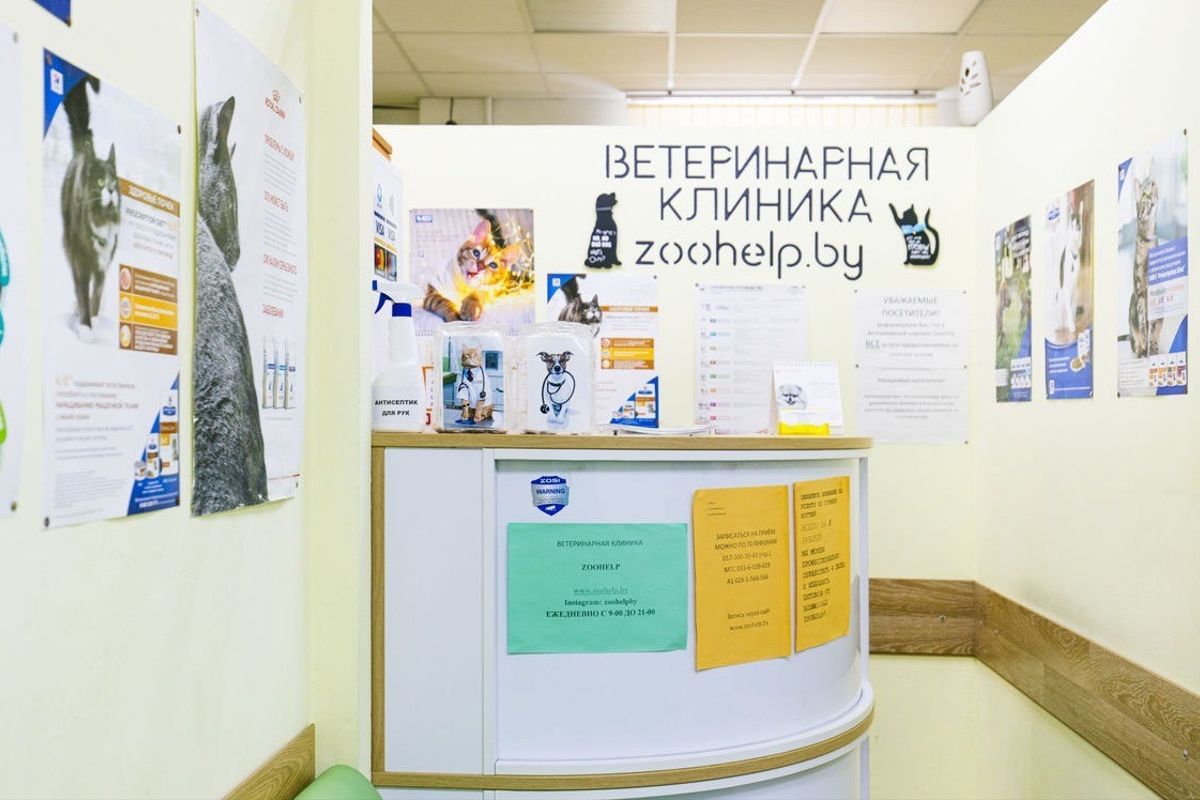 Ветеринарная клиника «ZooHelp» на улице Варвашени, Минск