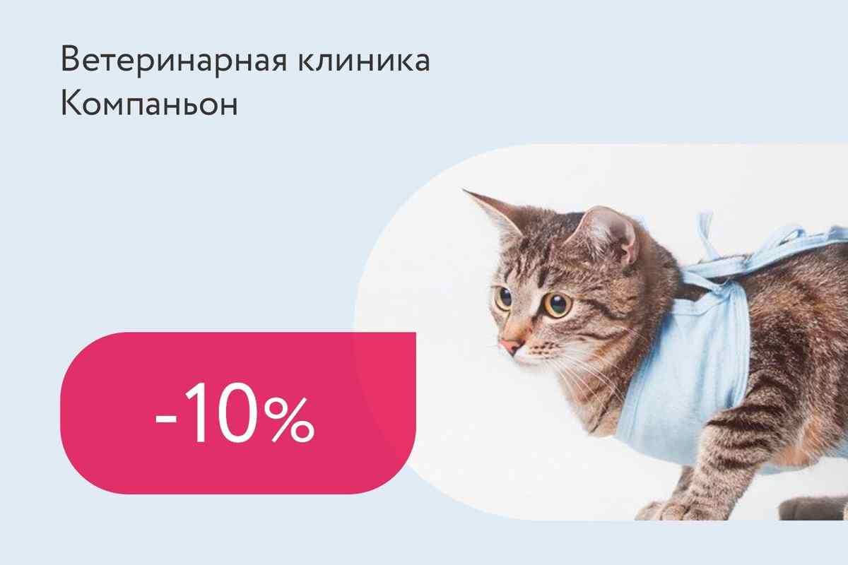 Скидка 10% на кастрацию котов и стерилизацию кошек