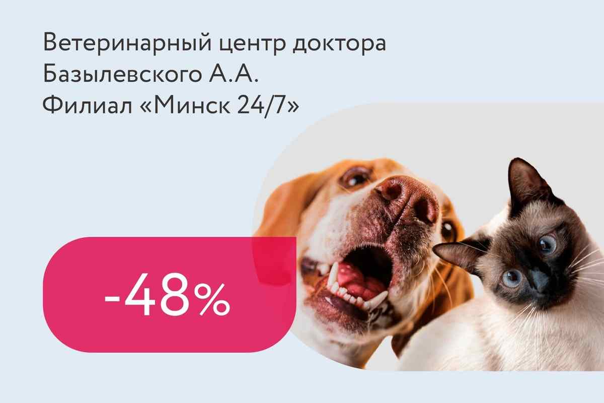 Скидки до 48% на кастрацию и стерилизацию