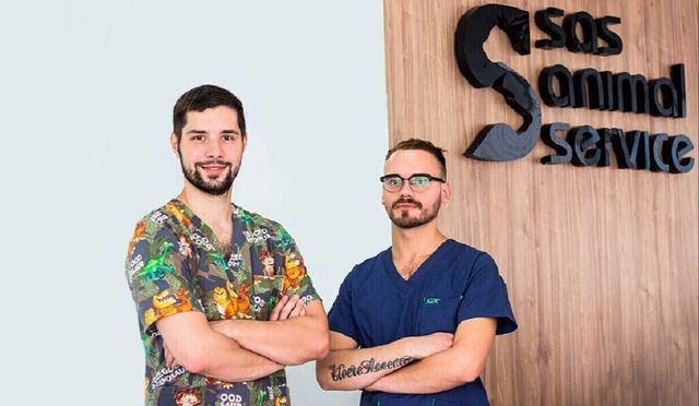 Чем можно заразиться от домашних животных?  Разговор с ветеринарами