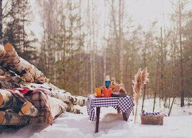 Зимний пикник: здоровый инструктаж