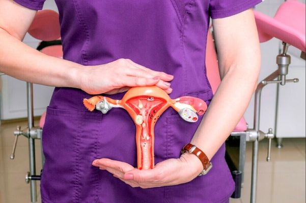 Онкология тела матки