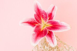 15 мифов про девственность. Гинеколог рассказывает всю правду