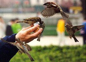 Красный Крест объявил в Байнете эстафету добрых дел