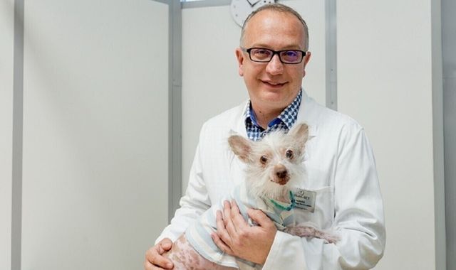 Как уберечь питомца от клещей, а себя от переживаний? Ветеринарный врач о способах защиты