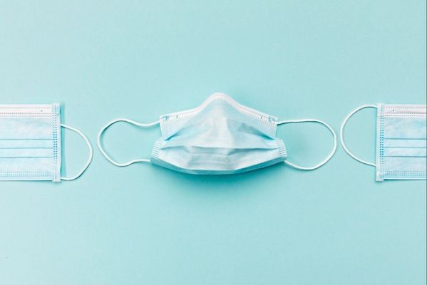 Стоит ли белорусам опасаться вируса Нипах: что известно