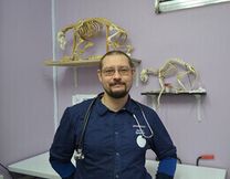 Воеводин Максим Аркадьевич