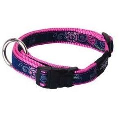 Rogz Ошейник Fancy Dress Dayglo Floral S (20-31 см)*11 мм