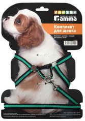 Шлейка и поводок "Гамма", 28-34х8,5 см / 1х130 см 11462001