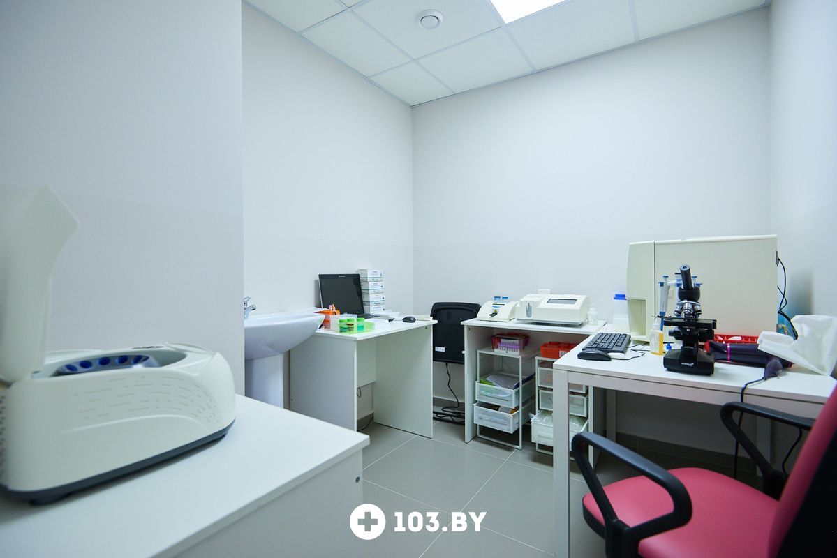 Галерея Ветеринарная клиника «Главное Хвост» - фото 1803073