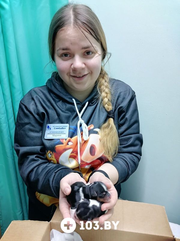 Галерея Ветеринарная клиника «СимбаВет» - фото 2797260