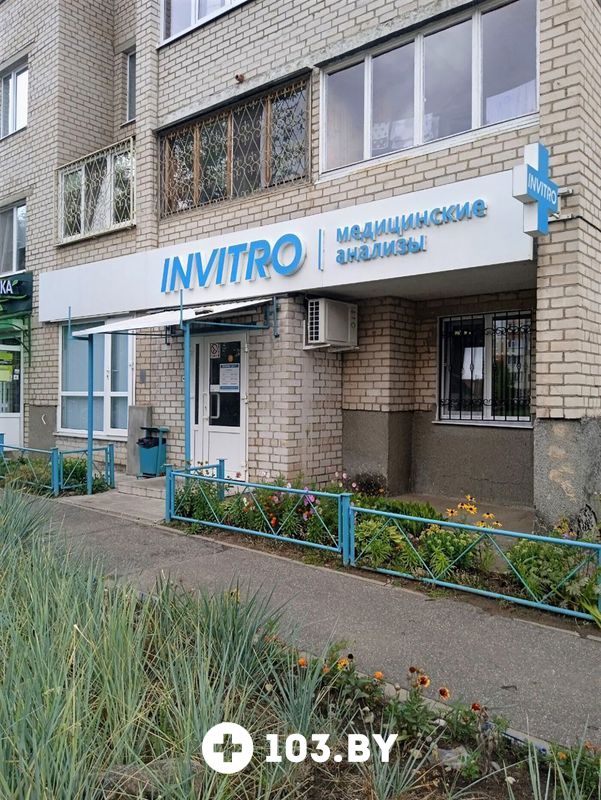 Галерея Независимая лаборатория «ИНВИТРО» - фото 2777146