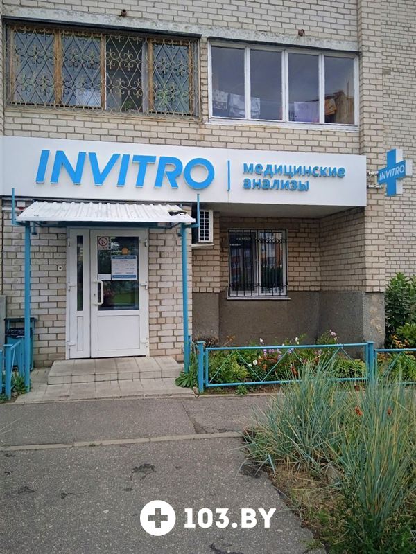 Галерея Независимая лаборатория «ИНВИТРО» - фото 2777137