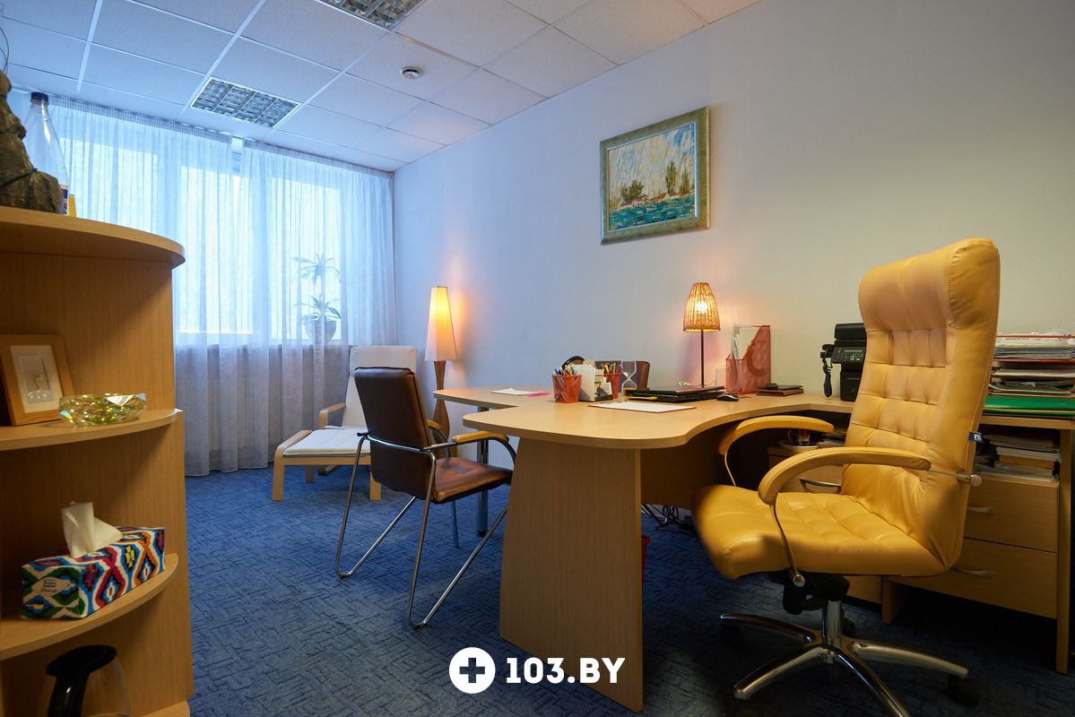 Галерея Психолог-практик «Алешкович Жанна Михайловна» - фото 1896683