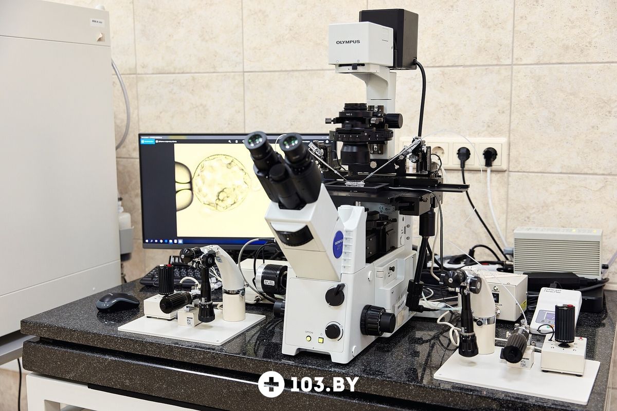 Галерея Медицинский центр «ЛОДЭ» - фото 2294143