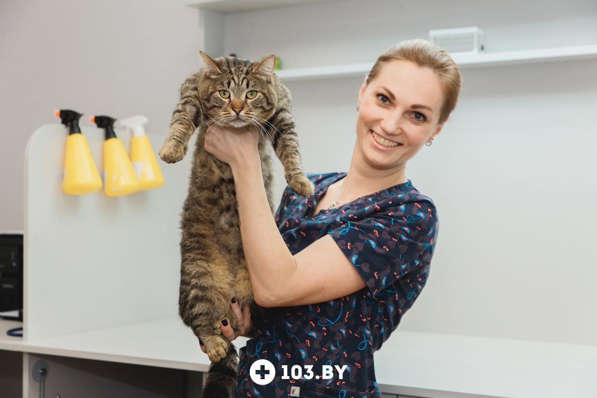 Галерея undefined - фото 1541993