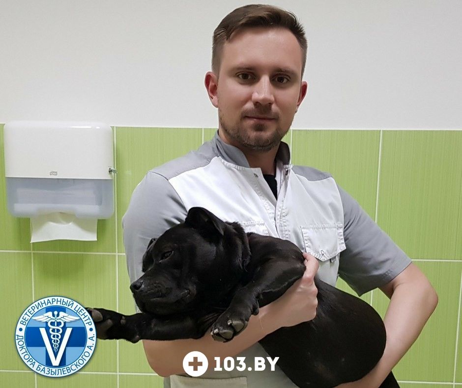 Ветеринарный центр undefined - фото 1705323