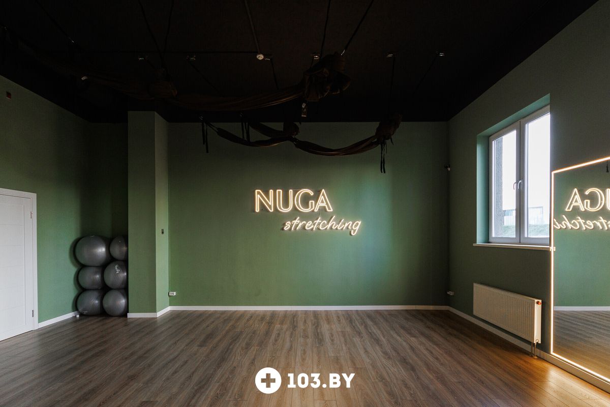 Интерьер Студия растяжки Nuga (Нуга) - фото 2802642
