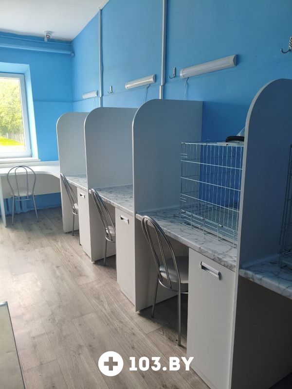 Галерея Ветеринарная клиника «ВЕК» - фото 2790585