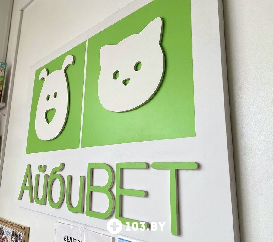 Галерея Ветеринарная клиника  «АйбиВЕТ» - фото 2789073