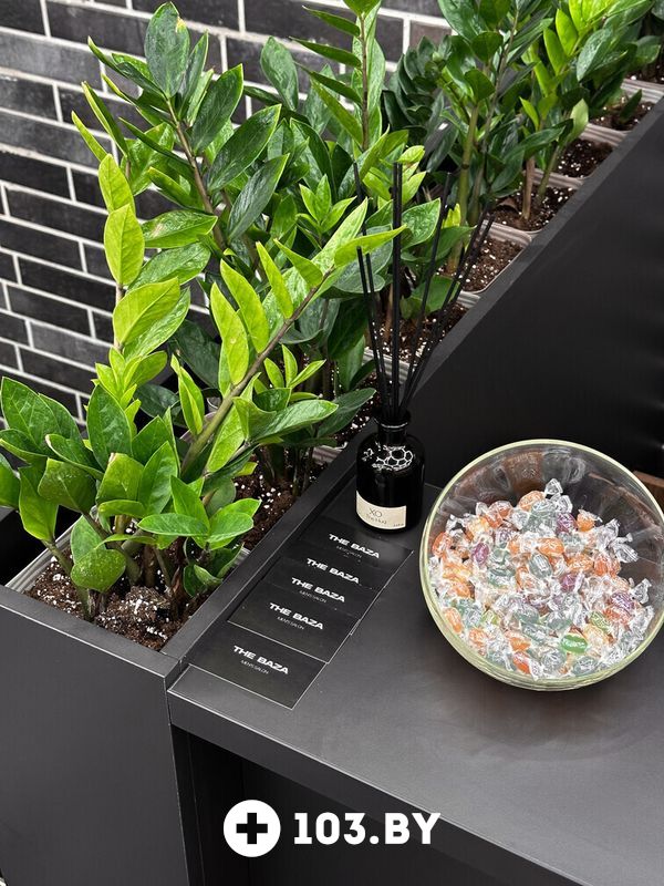 Галерея Мужской салон «THE BAZA (Это база)» - фото 2761840