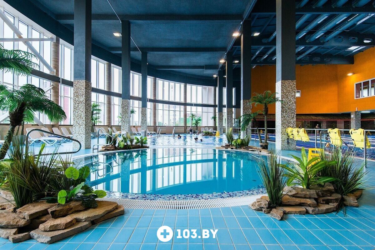 Водно-термальная зона Многофункциональный физкультурно-оздоровительный комплекс «Мандарин» - фото 2733439