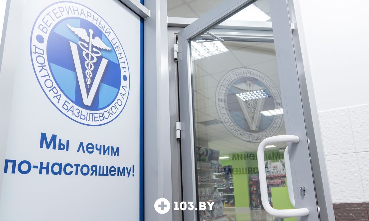 Галерея  Ветеринарный центр доктора Базылевского А.А. Филиал «Могилев» - фото 1766503