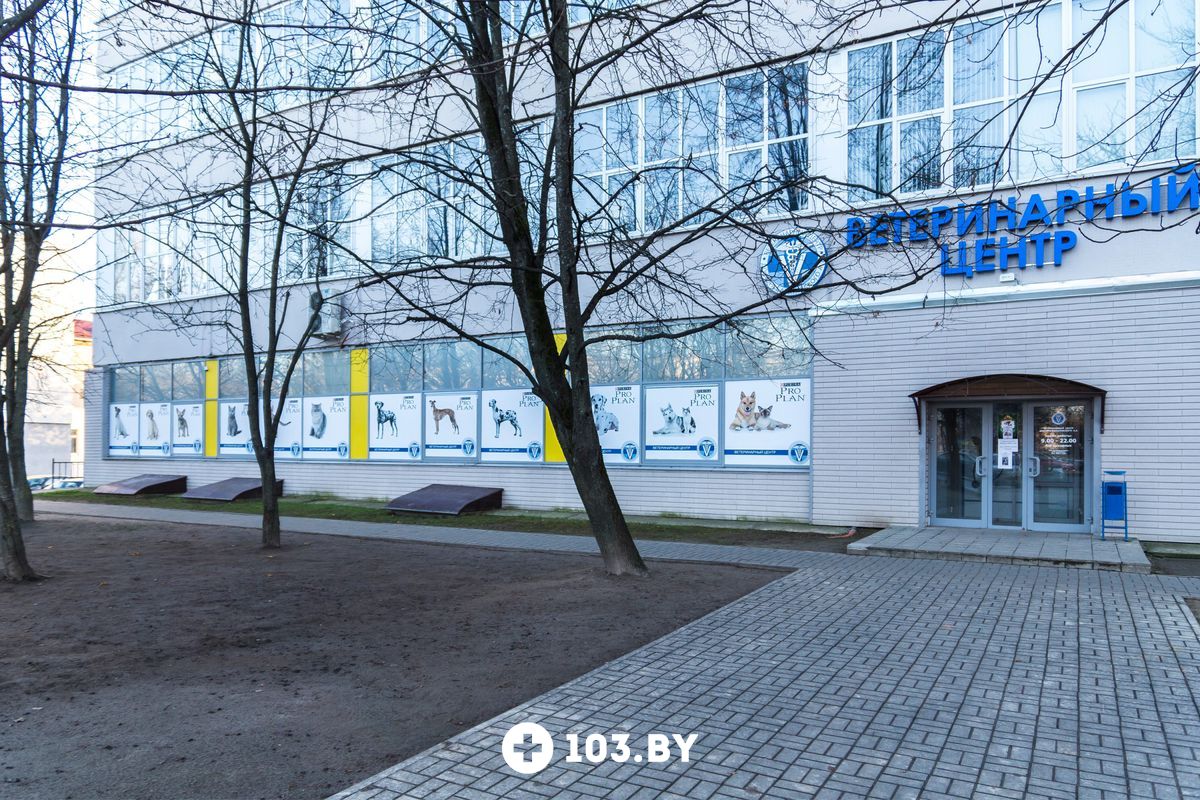 Галерея  Ветеринарный центр доктора Базылевского А.А. Филиал «Могилев» - фото 1766493