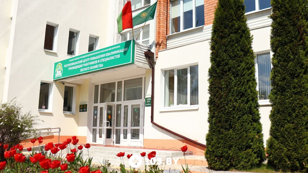 Галерея   «Оздоровительный комплекс Центра подготовки кадров Минлесхоза» - фото 2731383