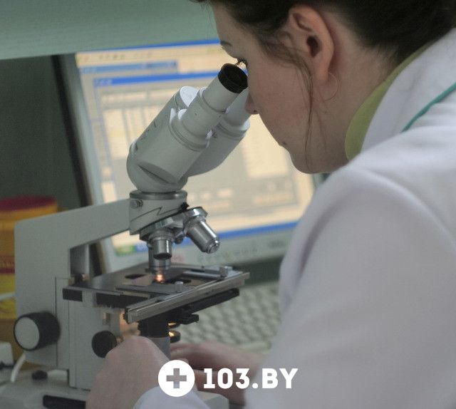 Галерея Медицинская лаборатория «СИНЛАБ» - фото 1341243