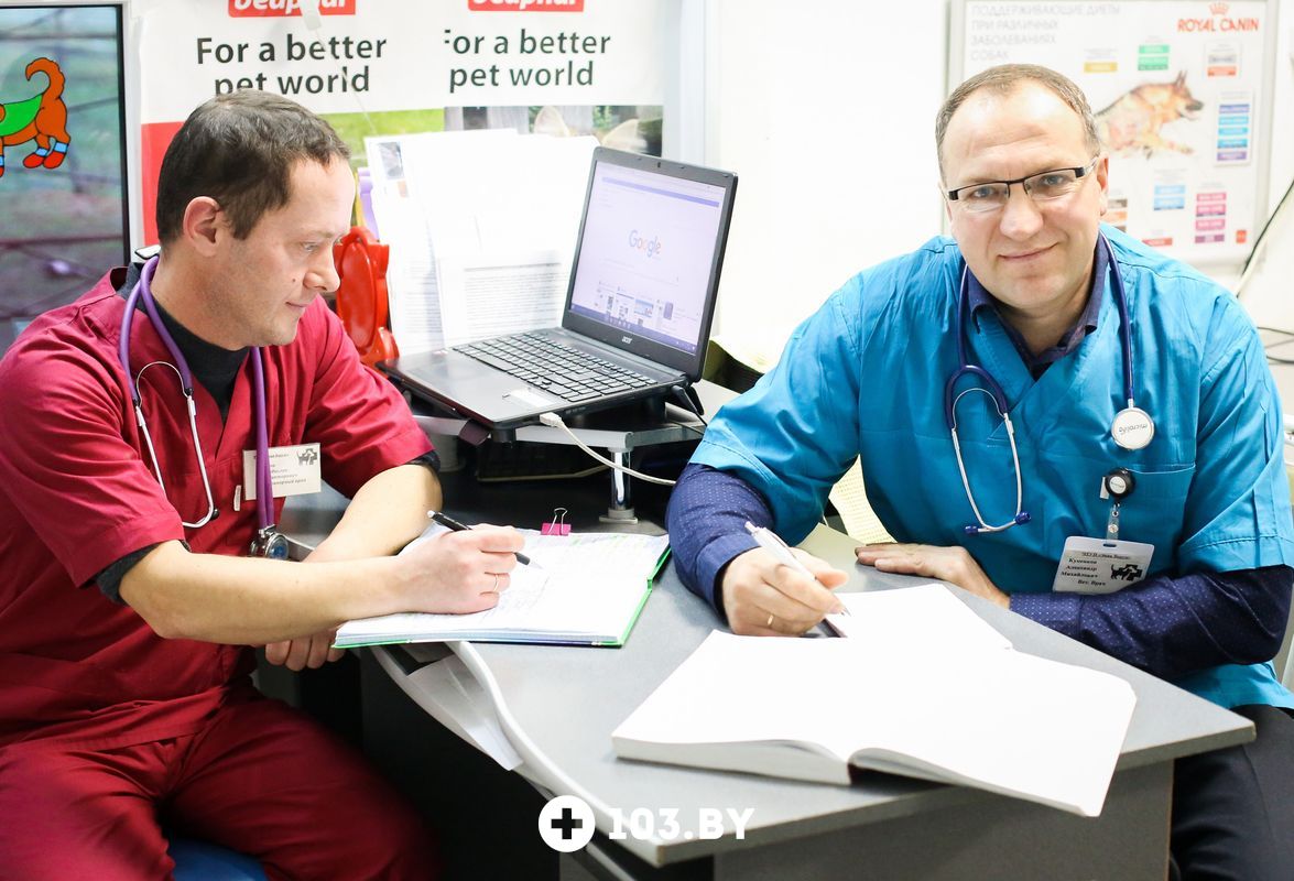 Галерея Ветклиника «Эвия Верум» - фото 1660363