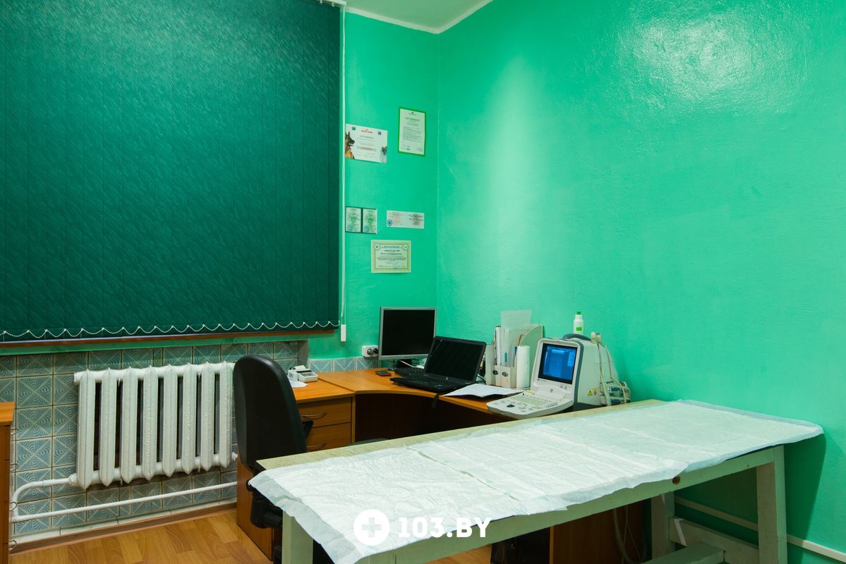 Интерьер Ветеринарная клиника «ВетСпектр» - фото 2060533