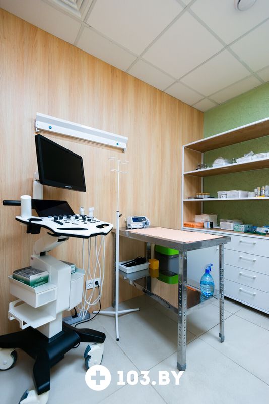 Интерьер Ветклиника «Хвостатый нянь» - фото 2732863