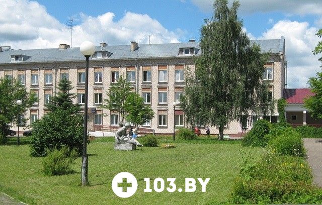 Галерея  «Борисовский родильный дом» - фото 1493063