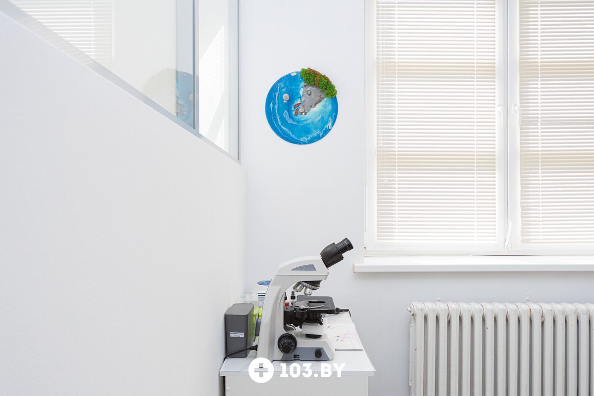 Галерея Ветеринарная клиника NAN Animal Clinic (НАН Энимал Клиник) - фото 2736243