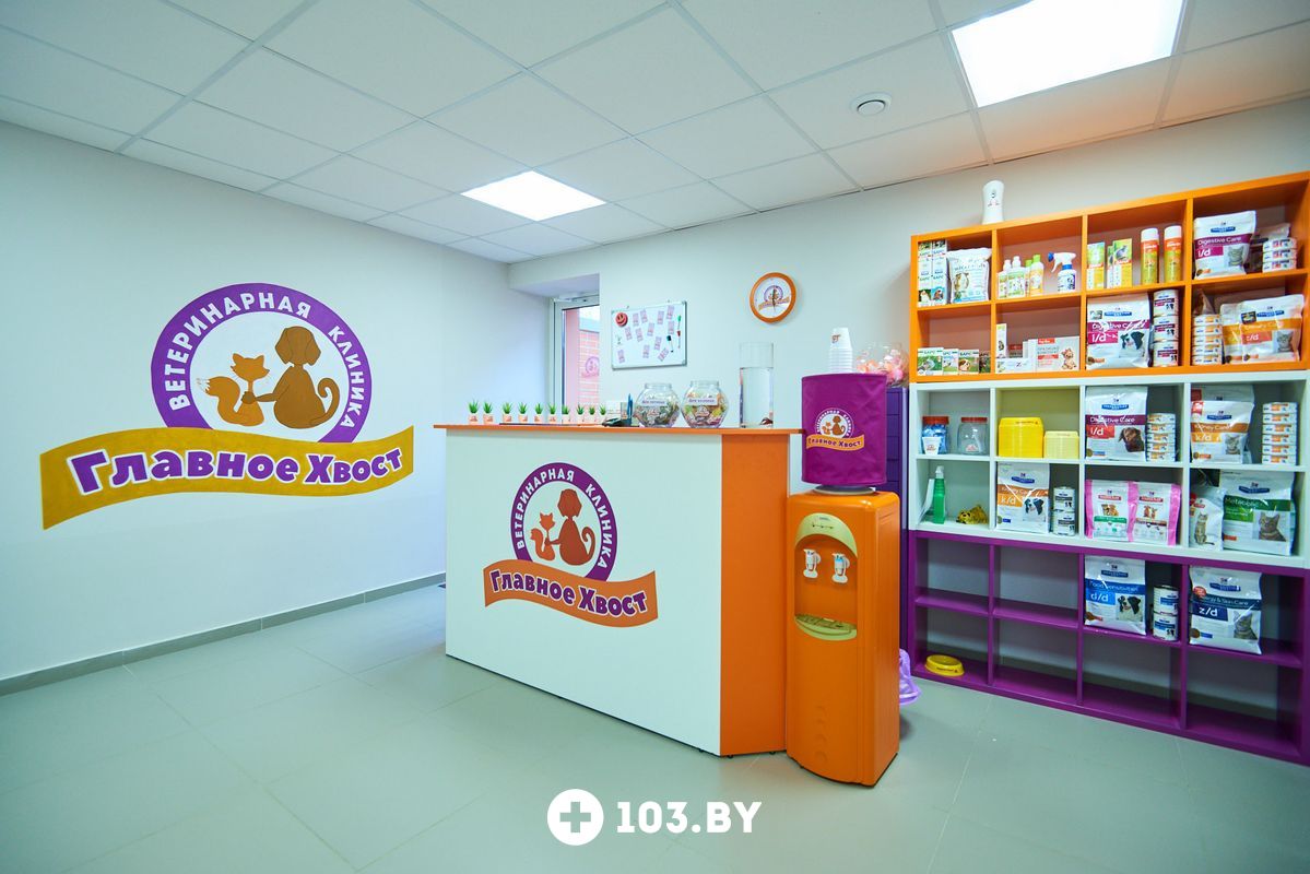 Галерея undefined - фото 1803033