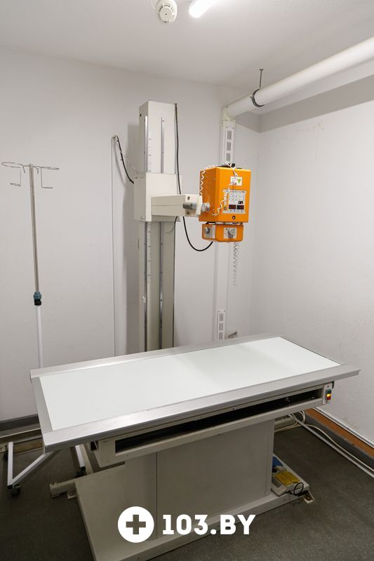 Галерея Ветеринарная клиника «Сас Энимал Сервис» - фото 2729253