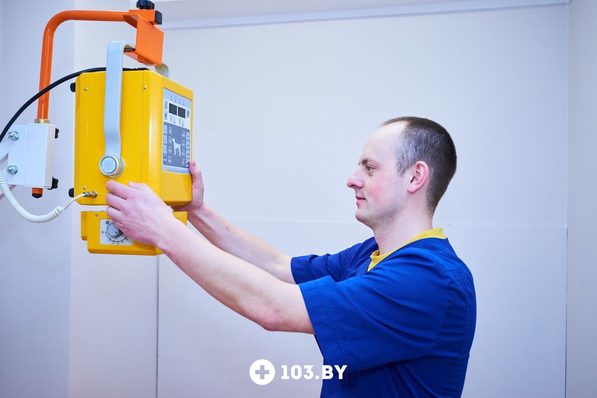 Галерея undefined - фото 1802853