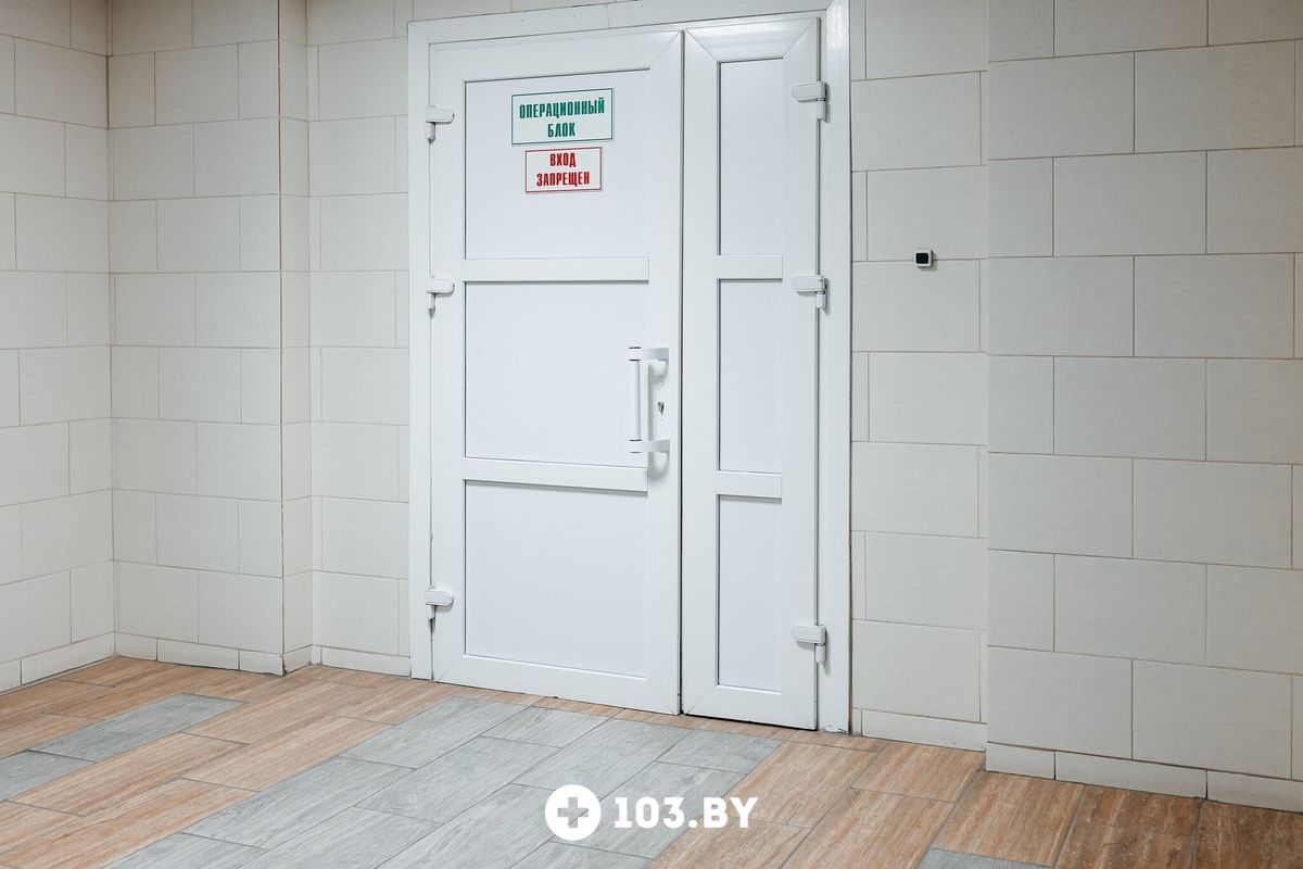 Галерея Учреждение «Гомельская областная клиническая больница» - фото 2767330
