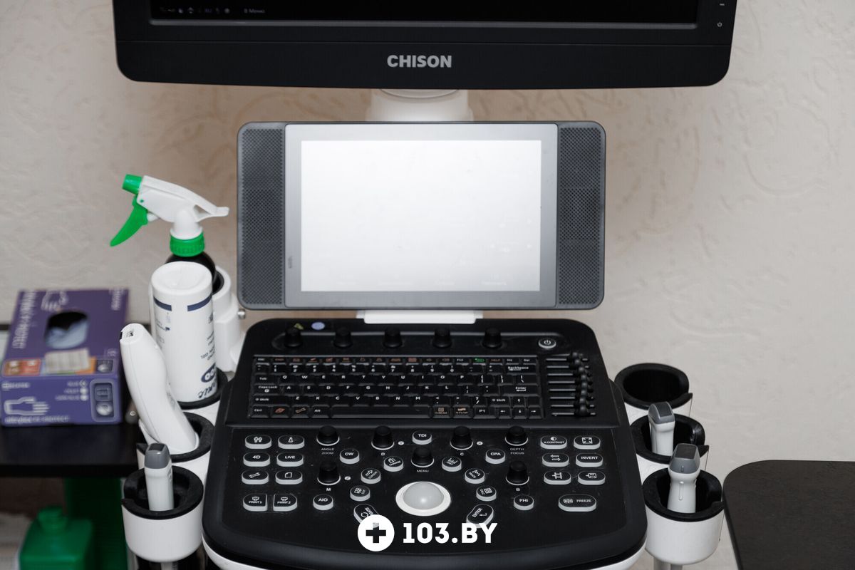 Интерьер Ветклиника «PET’S HEALTH (ПЕТС ХЕЛС)» - фото 2802510