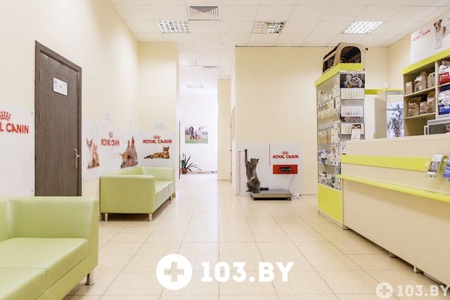 Галерея Ветеринарная клиника и аптека  «Дай Лапу» - фото 1505213