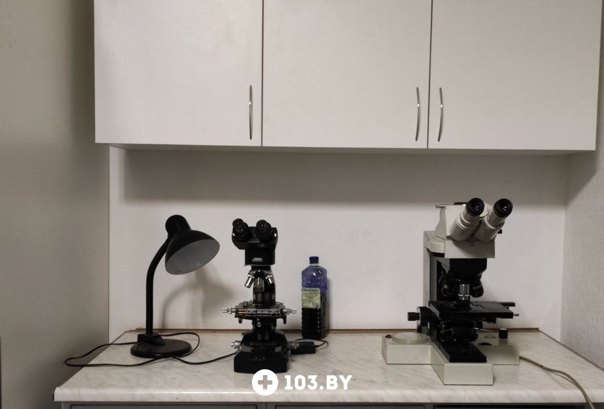 Галерея Ветеринарная клиника «Питомец» - фото 2446753