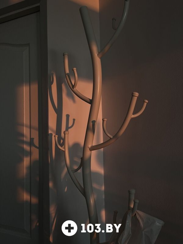 Интерьер Студия бровей и ресниц «BrowAX (Бровакс) мастер Ангелина Дашук» - фото 2801823