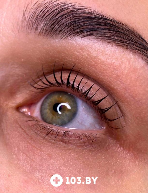 Галерея Кабинет красоты «BROW ZONE (БРОУ ЗОН)» - фото 2801187