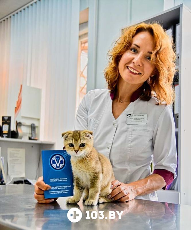 Галерея Ветеринарная клиника «ЭкспертВет» - фото 2758120