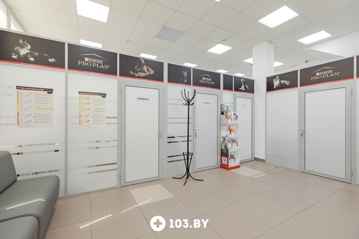 Интерьер Ветеринарная клиника «Питомец» - фото 2789949