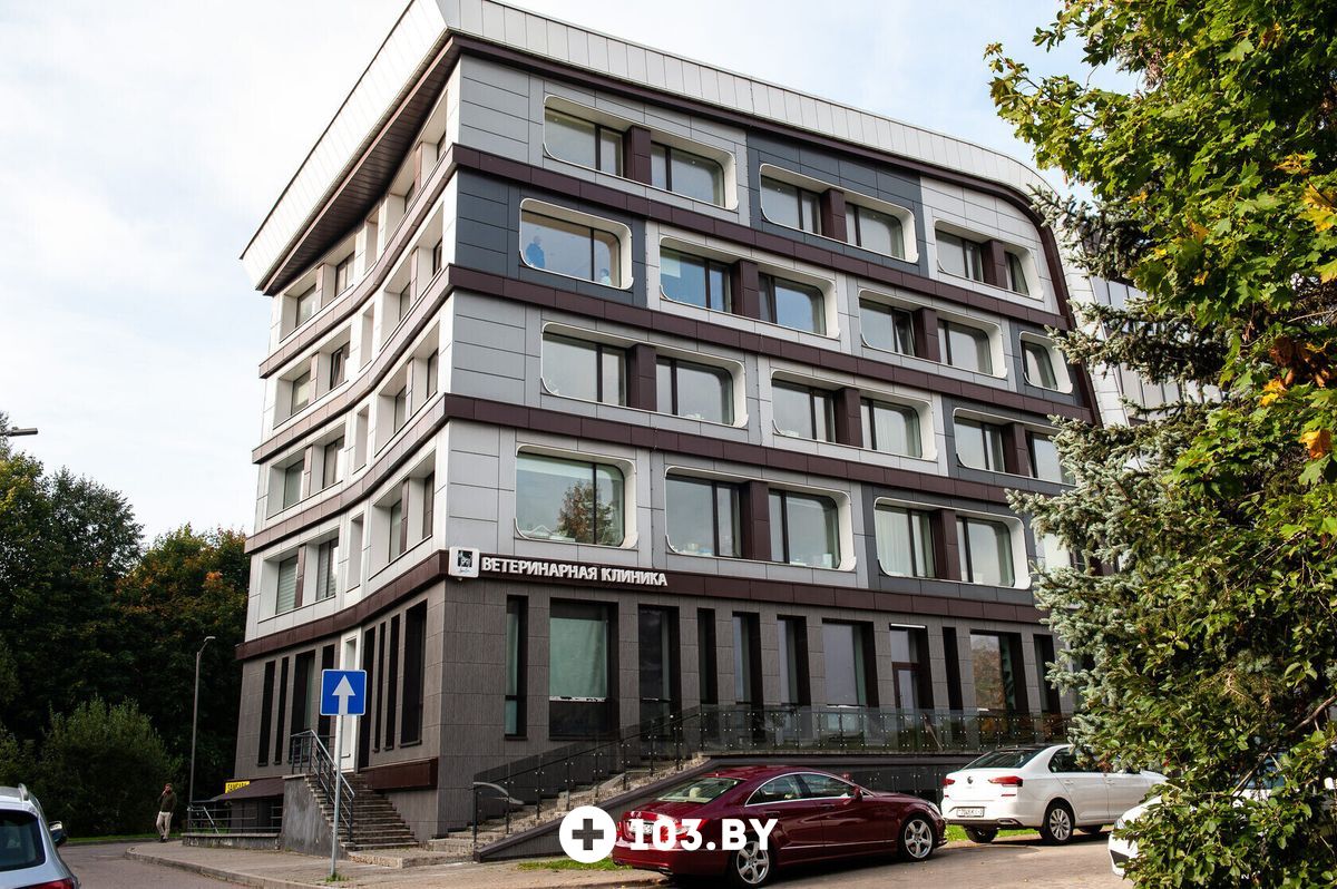 Галерея undefined - фото 2796615