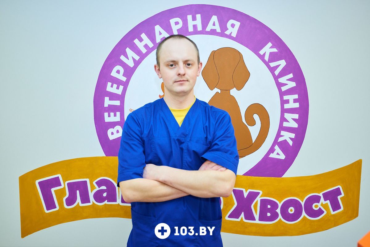 Галерея Ветеринарная клиника «Главное Хвост» - фото 1803043