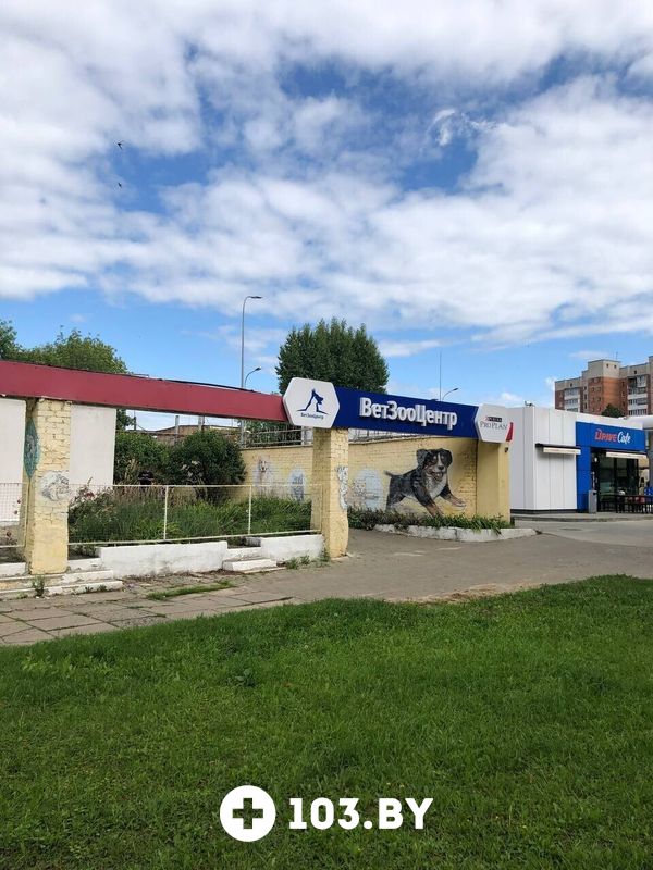 Галерея undefined - фото 2734294