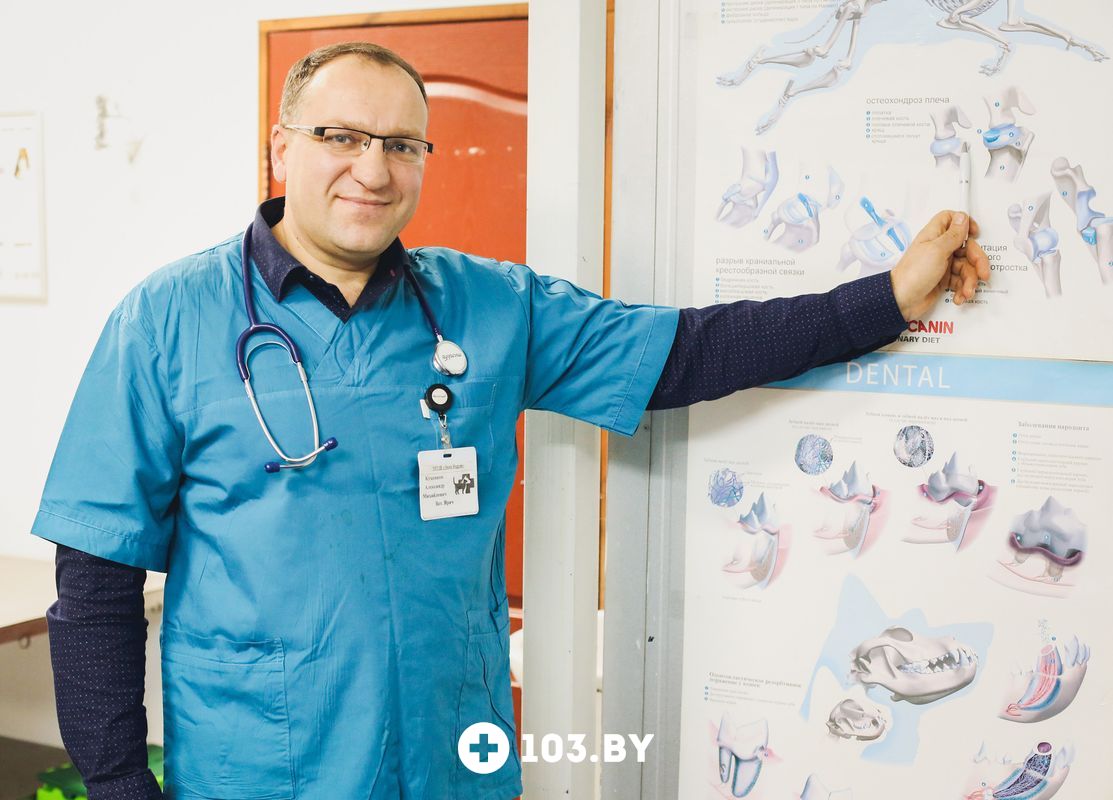 Галерея undefined - фото 1660383